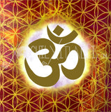 Vibration of Creation OM - 3x3 Magnet